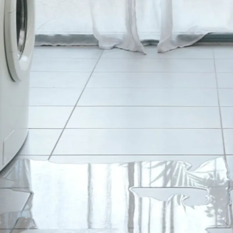 Appliance Leak Cleanup in Milford, MA