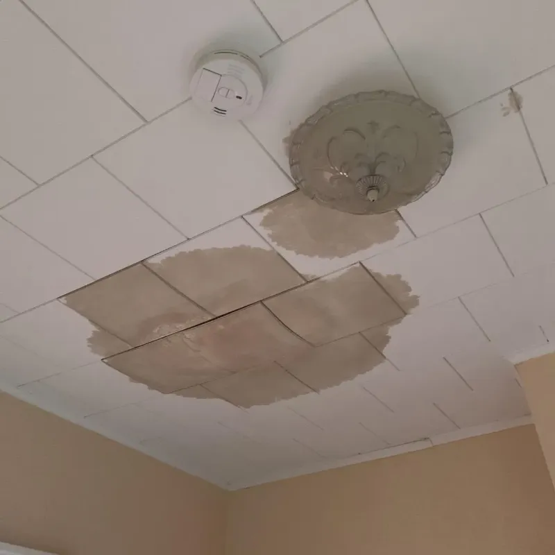 Ceiling Water Damage Repair in Milford, MA