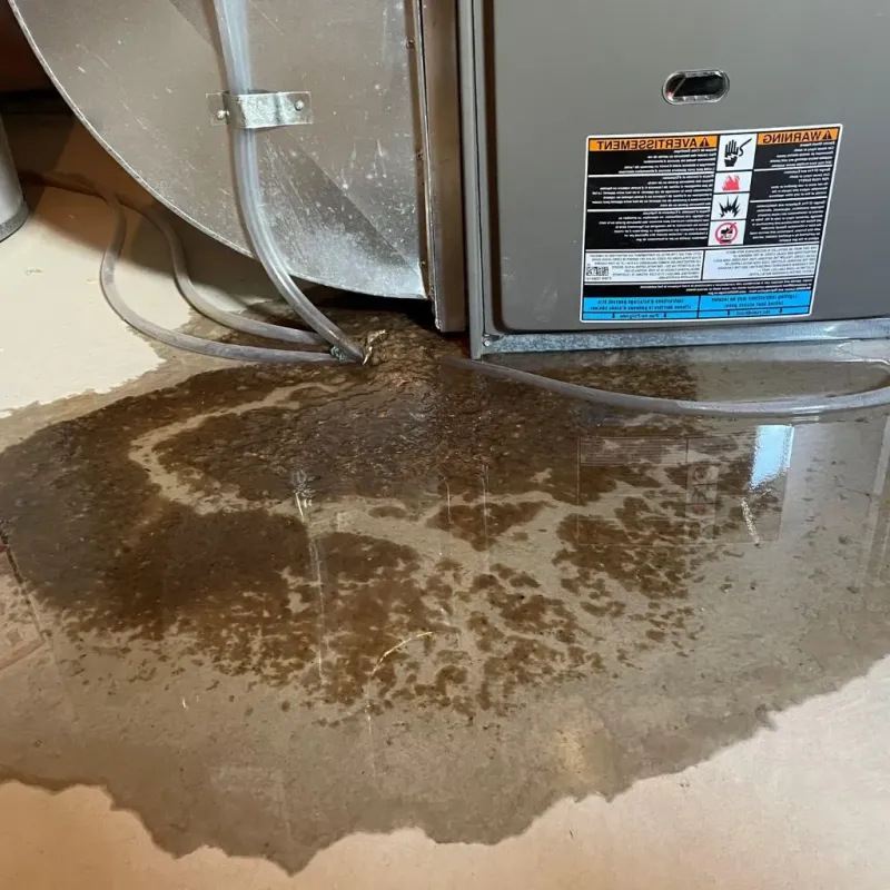 Pipe Burst and Leak Restoration in Milford, MA